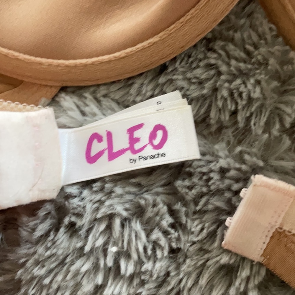 Cleo by Panache bra - Picture 5 of 6